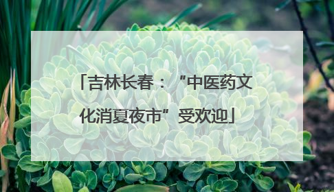 吉林长春：“中医药文化消夏夜市”受欢迎
